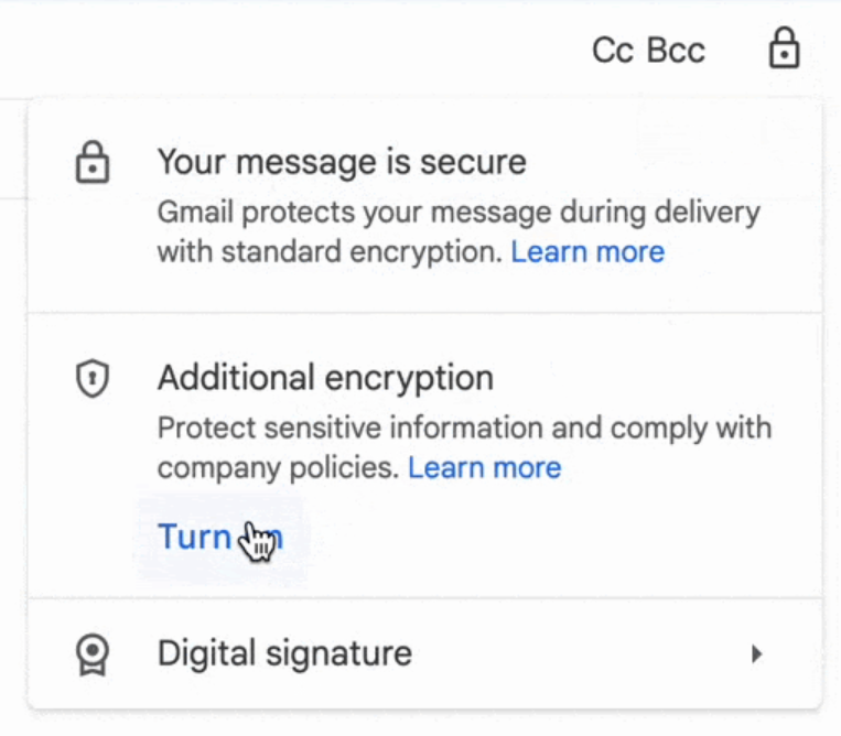 Beyond Gmail: Why True End-to-End Encrypted Email is Essential for Your Digital Privacy